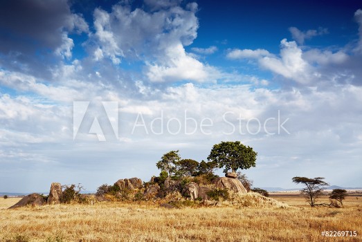 Bild på Gol kopjes serengeti